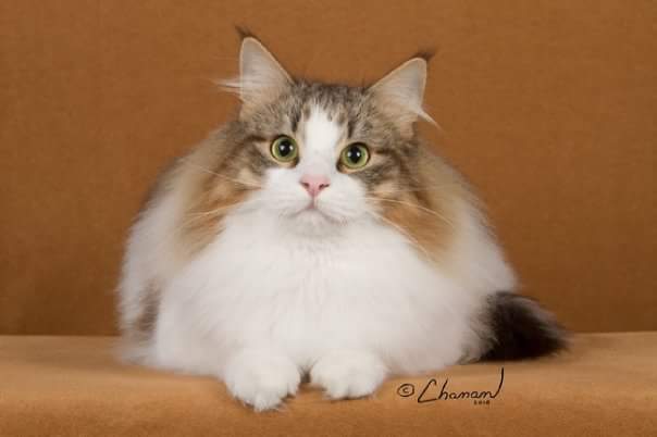 fb_img_1471415727543