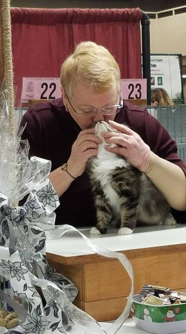 Featherland Carmelita and judge