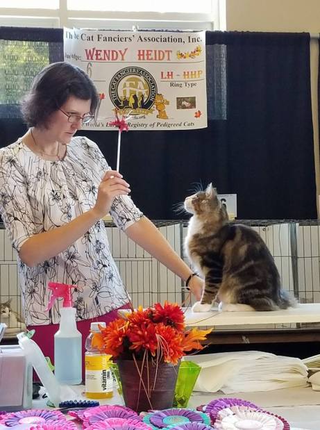 GC RW BW Featherland Kingfish